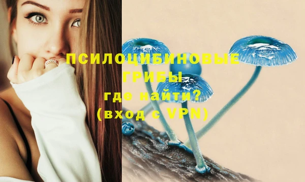кокс Алзамай