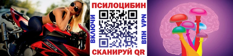 Псилоцибиновые грибы Psilocybine cubensis  Лодейное Поле 