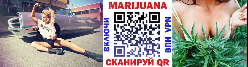 где найти   Лодейное Поле  Шишки марихуана индика 